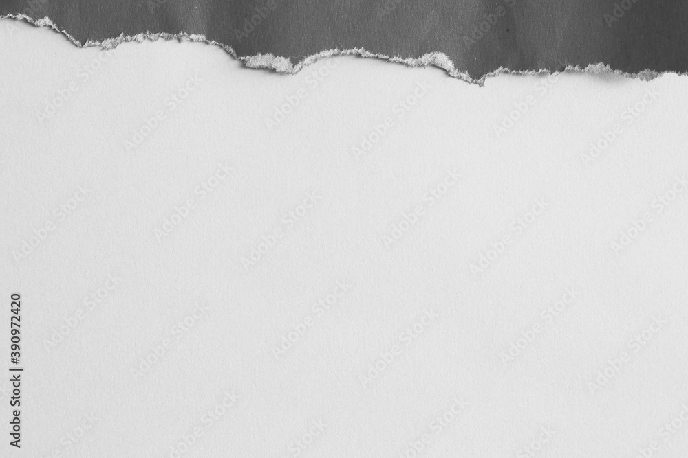 pieces of torn paper texture background with copy space pieces of torn paper texture background with copy space