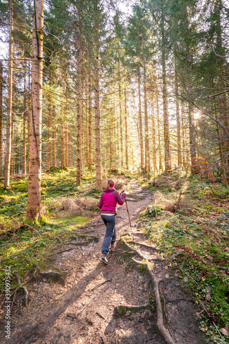 Hiking in the forest, autumn time. Girl in sportswear, sunbeams and warm color