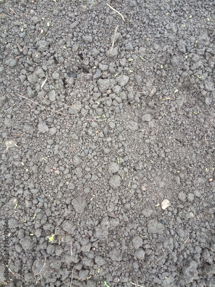 Soil, black earth, ground background Soil, black earth, ground background