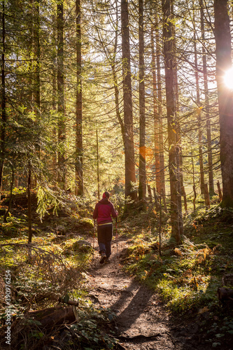 Hiking in the forest, autumn time. Girl in sportswear, sunbeams and warm color