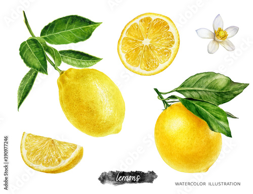 Lemon fruits with branch, slice and flower set watercolor illustration isolated on white background