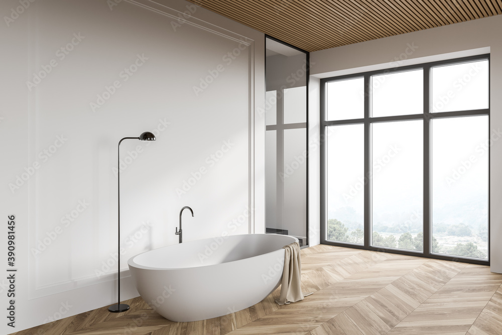 White loft bathroom corner with bathtub and shower White loft bathroom corner with bathtub and shower