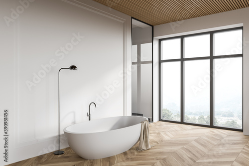 White loft bathroom corner with bathtub and shower