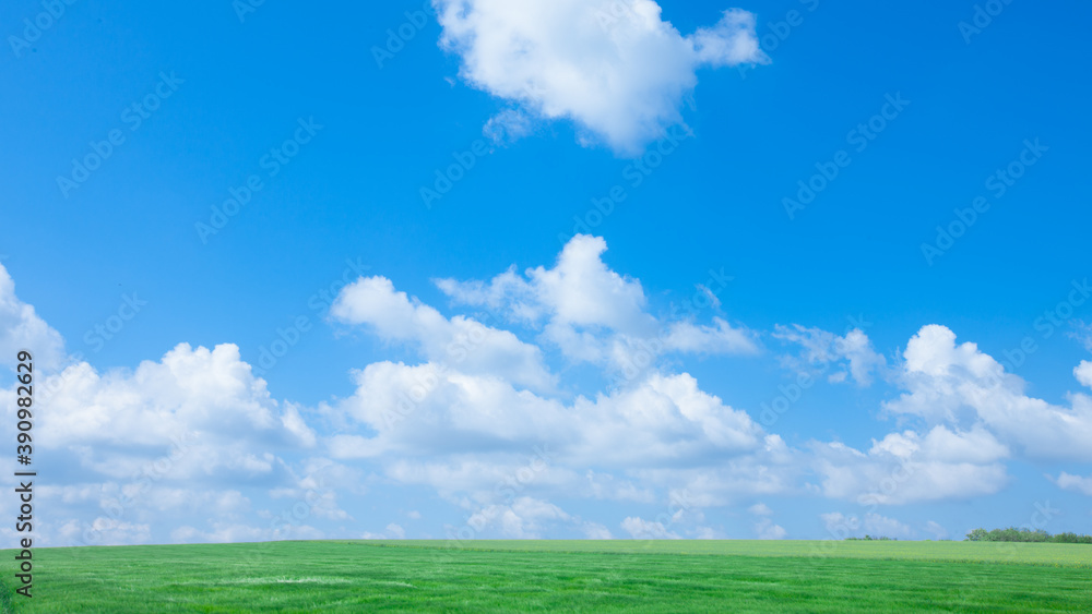 green field and blue sky