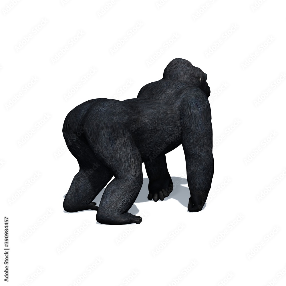 Wild animals - gorilla with shadow on the floor - isolated on white background - 3D illustration Wild animals - gorilla with shadow on the floor - isolated on white background - 3D illustration