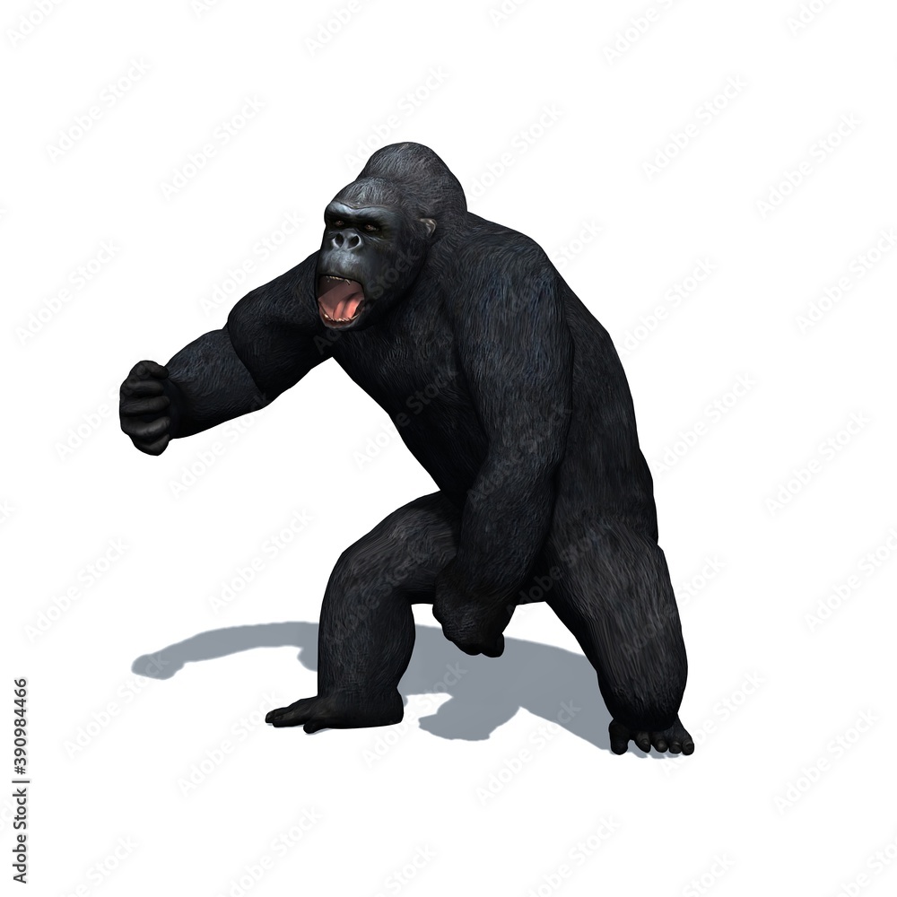 Wild animals - gorilla with shadow on the floor - isolated on white background - 3D illustration Wild animals - gorilla with shadow on the floor - isolated on white background - 3D illustration