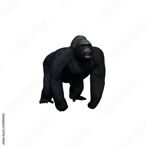Fototapeta Naklejka Na Ścianę i Meble -  Wild animals - gorilla - isolated on white background - 3D illustration