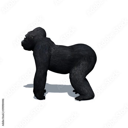 Wild animals - gorilla with shadow on the floor - isolated on white background - 3D illustration