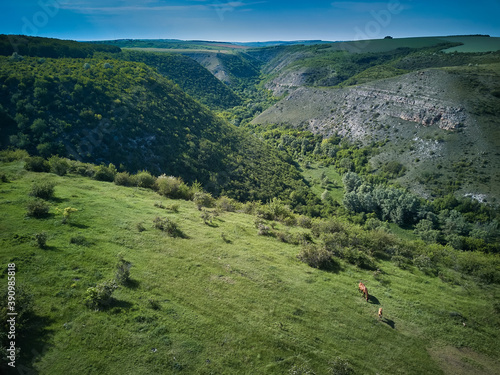 Aerial drone view of cliffs and plains near village Tsipova, Moldova republic of. photo