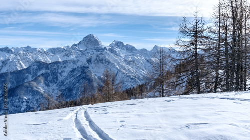 winter day in the alps of Friuli Venezia-Giulia © zakaz86