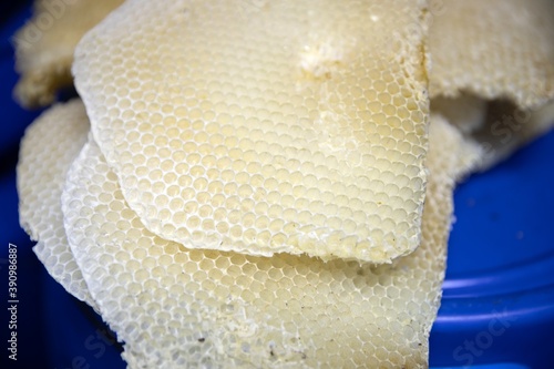 Closeup photo of some honeycombys photo