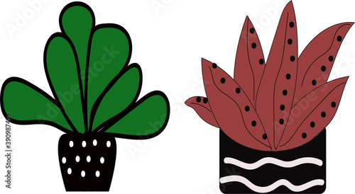 Illustration vector graphic cactus