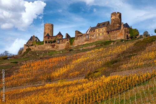 Burg Alken an der Mosel im Herbst