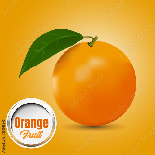 Bilde på lerret Orang fruit vector