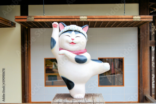 伊勢市　おかげ横丁のねこ