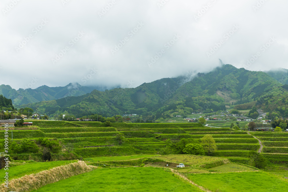 Fototapeta premium 日本 宮崎県の高千穂の栃又棚田