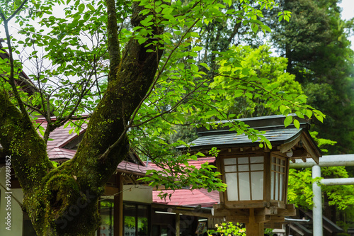 日本　宮崎県の高千穂の天岩戸神社 © pespiero