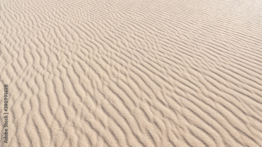 Sand texture background with ripples Sand texture background with ripples
