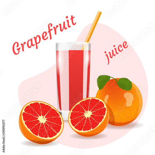 Glass of grapefruit juice. Fresh fruits, healthy food, detox, vegan concept. Isolated vector illustration.