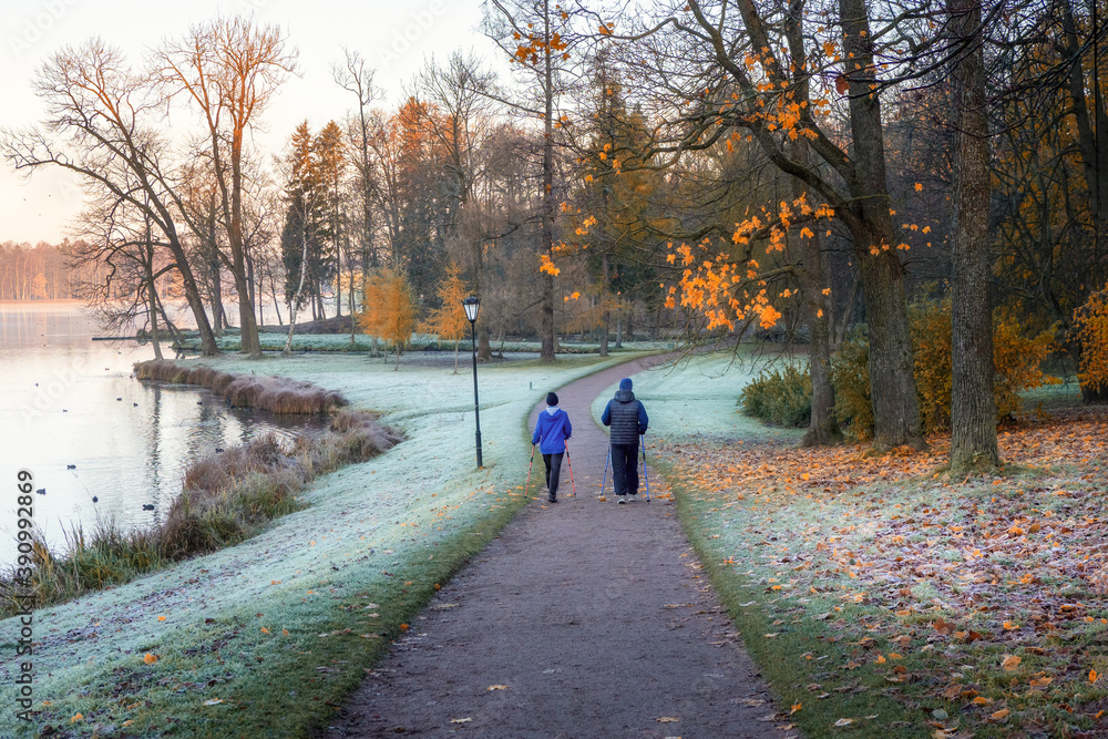 An elderly couple on a morning walk in a misty November Park with frost on the grass.