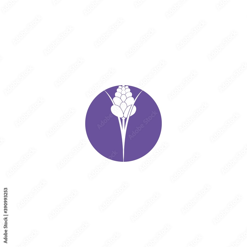 lavender icon lavender icon
