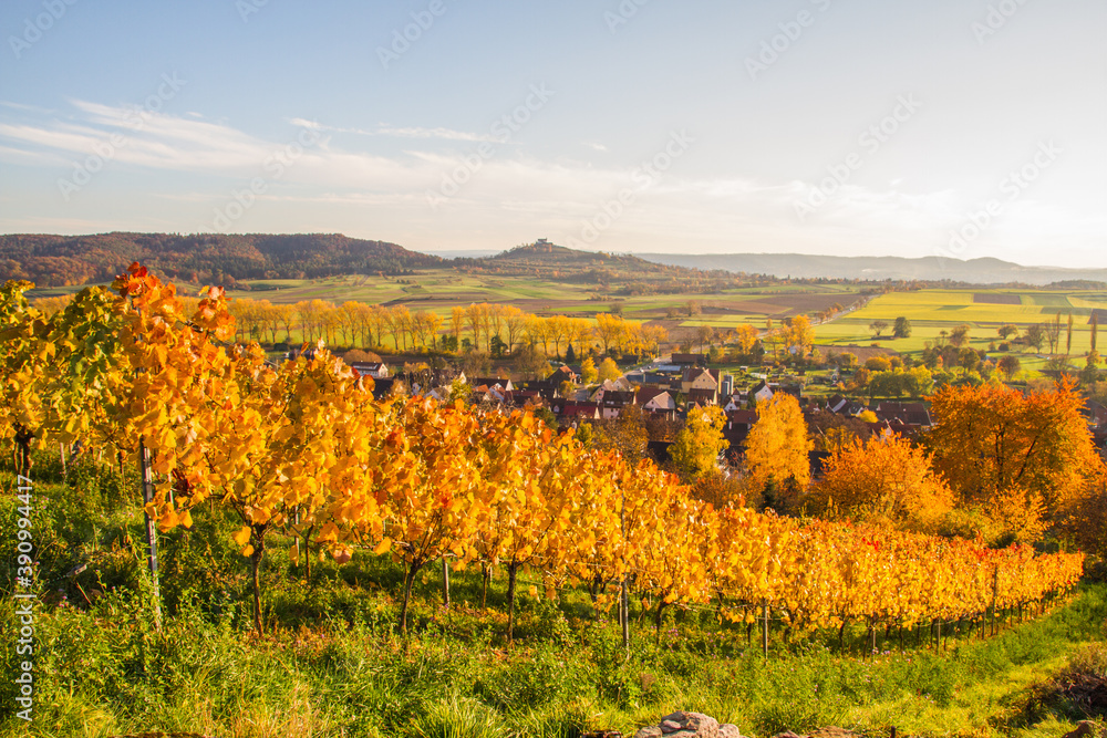 Fototapeta premium Vineyards of Unterjesingen near Tübingen, Germany, with view of Wurmlinger Kapelle (chapel) and colorful autumn leaves in romantic afternoon light