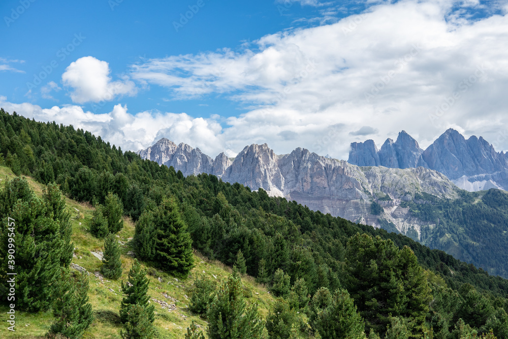 Fototapeta premium Landscape panorama of Seiser Alm in South Tyrol, Italy