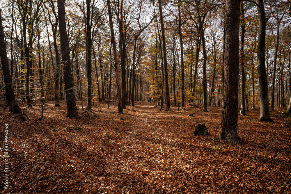 Wanderweg Wanderweg