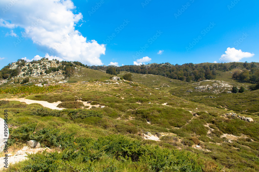 Spectacular landscape at the nature reserve Plateau de Coscione, near Quenza. Corsica, France. Spectacular landscape at the nature reserve Plateau de Coscione, near Quenza. Corsica, France.
