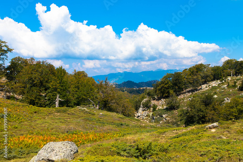 Natural landscape and hiking area of ​​the route GR 20 from the Plateau of Coscione, Corsica, France.