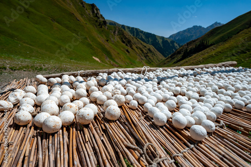 Salty dry kurt. National sour milk product of Central Asia drying in mountains near Sary Chelek lake, Sary-Chelek Jalal Abad region, Kyrgyzstan. Closeup view pile of traditional dried Kyrgyz yogurt. photo