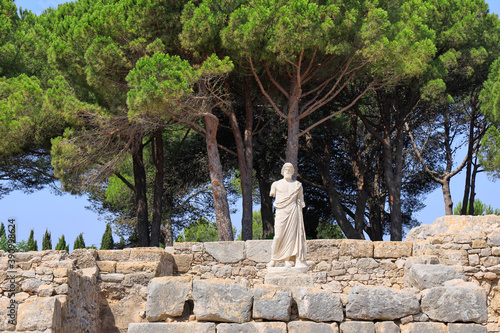 Ruines et pins parasol  à Ampuria avec statue bras coupé
