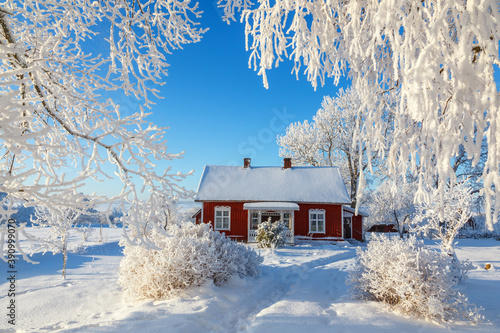 Red cottage in a beautiful cold winter landscape