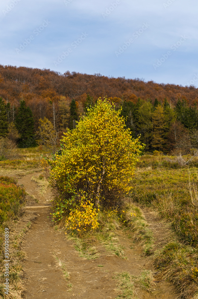 Fototapeta premium Bieszczady 