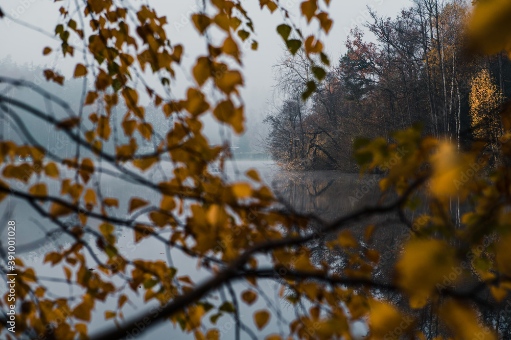 early morning view at the empty pond with the forest in the background hidden in the autumn fog and the reflection on the calm surface