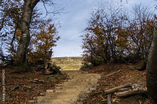 Fototapeta Naklejka Na Ścianę i Meble -  na turystycznym szlaku - Bieszczady 