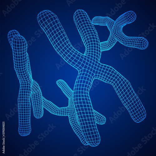 Chromosome scientific medicine education concept.