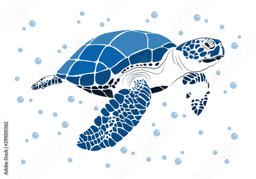graphic sea turtle,vector illustration of sea turtle,vector of turtle design on a white background,save a turtle.