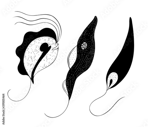 Human parasites. Black and white hand drawn illustration.