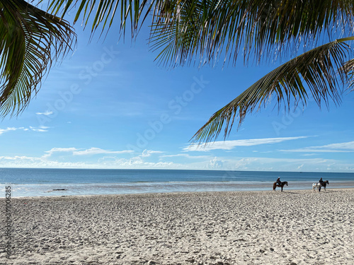 Fototapeta Naklejka Na Ścianę i Meble -  horse riders in distance on white sandy tropical beach fringed by palm trees