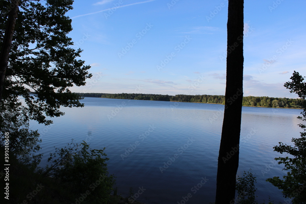 reflection of trees on lake