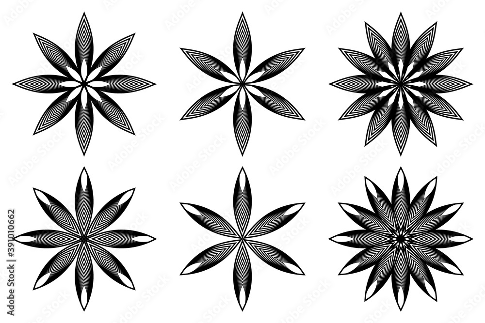 Flower - black and white vector icon, Star vector pattern, set, Flower - black and white vector icon, Star vector pattern, set,