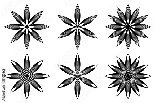 Flower - black and white vector icon  Star vector pattern  set 