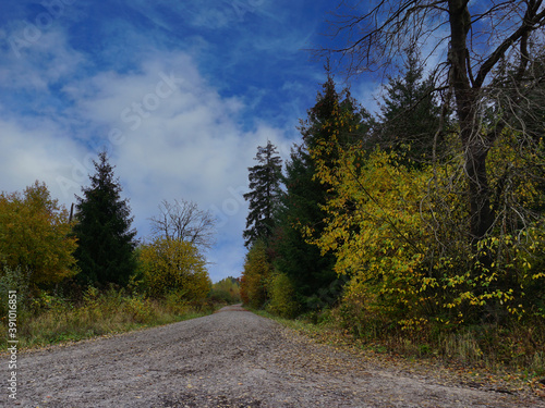 Wanderweg im Hils bei Delligsen im Herbst