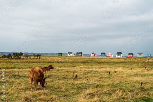 Tableau sur toile beach huts on Aero