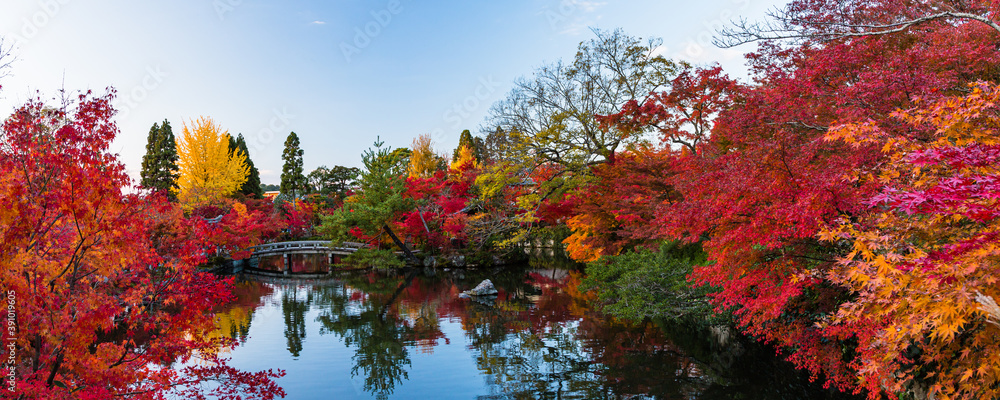 Obraz premium 日本 京都、永観堂の放生池と紅葉