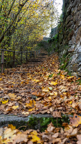 Walking on a beautiful path during fall season  Montreux  Switzerland. 