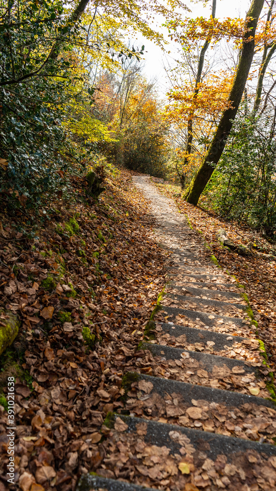 Walking on a beautiful path during fall season, Montreux, Switzerland. 