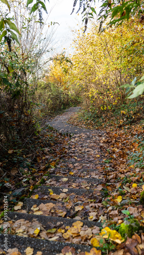 Walking on a beautiful path during fall season, Montreux, Switzerland. Walking on a beautiful path during fall season, Montreux, Switzerland.