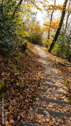Walking on a beautiful path during fall season  Montreux  Switzerland. 